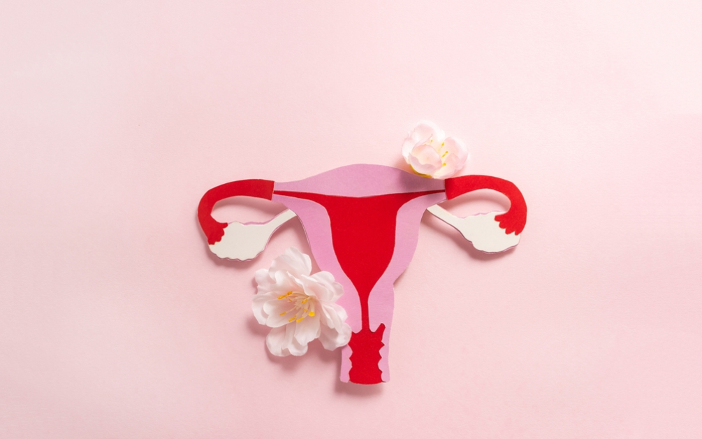 trompe uterine